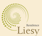 Logo P. Liesy